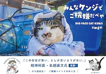 81E+jqA6l5L._AC_UF350, 81E+jqA6l5L._AC_UF350,